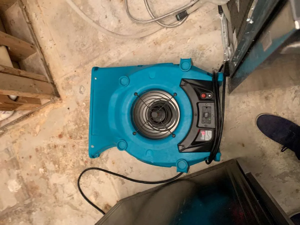 Air mover drying equipment for Mold Remediation & Removal in Celina
