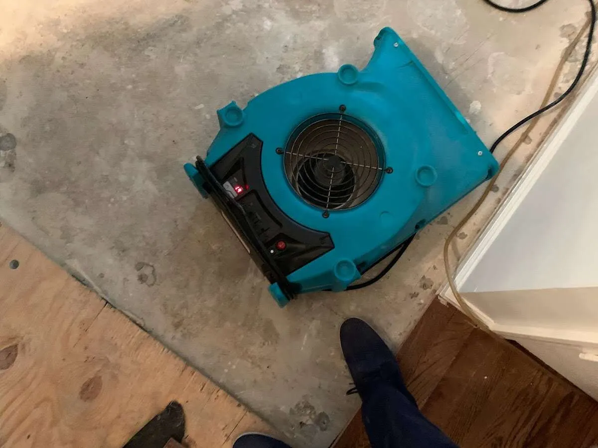 Air mover drying subfloor during Leak Detection & Repair in Celina